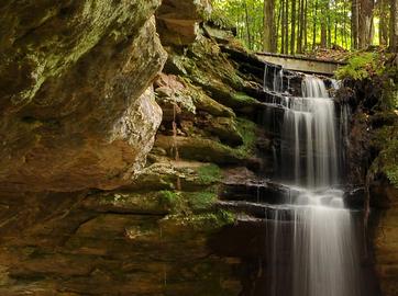 Twin Waterfalls Memorial Plant Preserve Closed through 2023